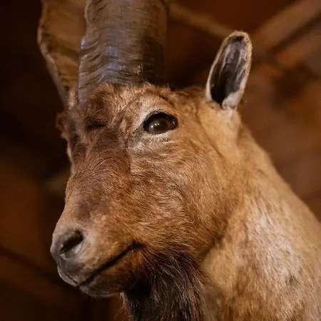 Edelweiss Holiday home Saalbach-Hinterglemm